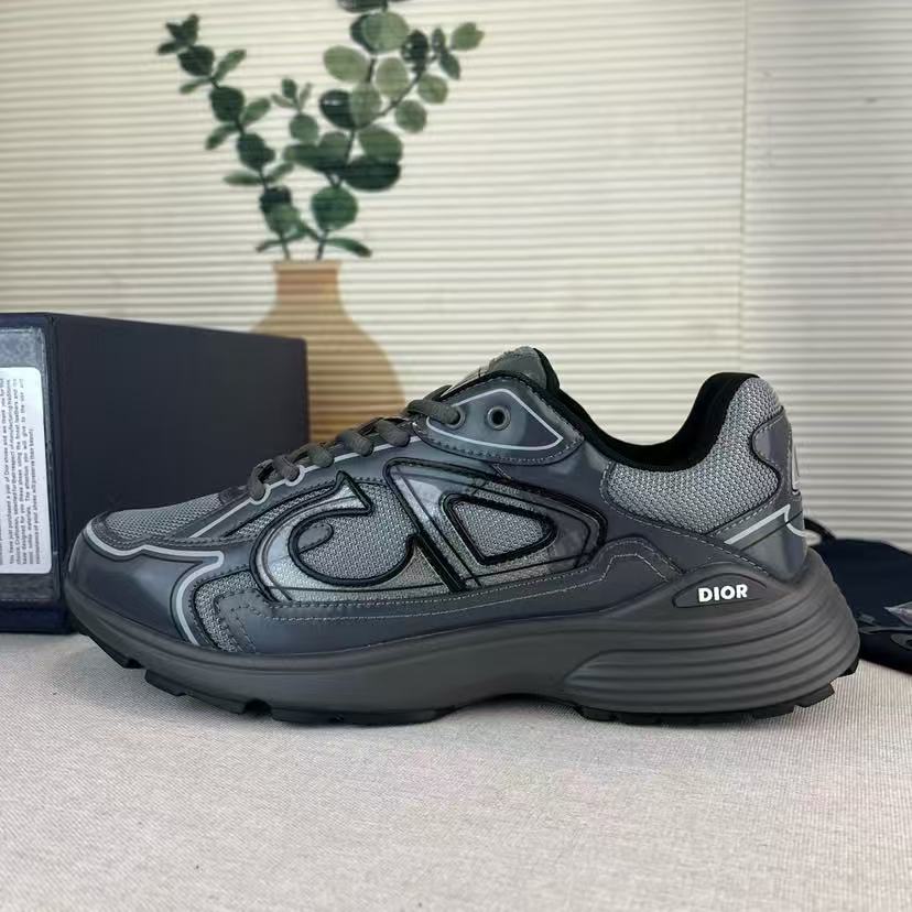 DIOR B30 Light Gray