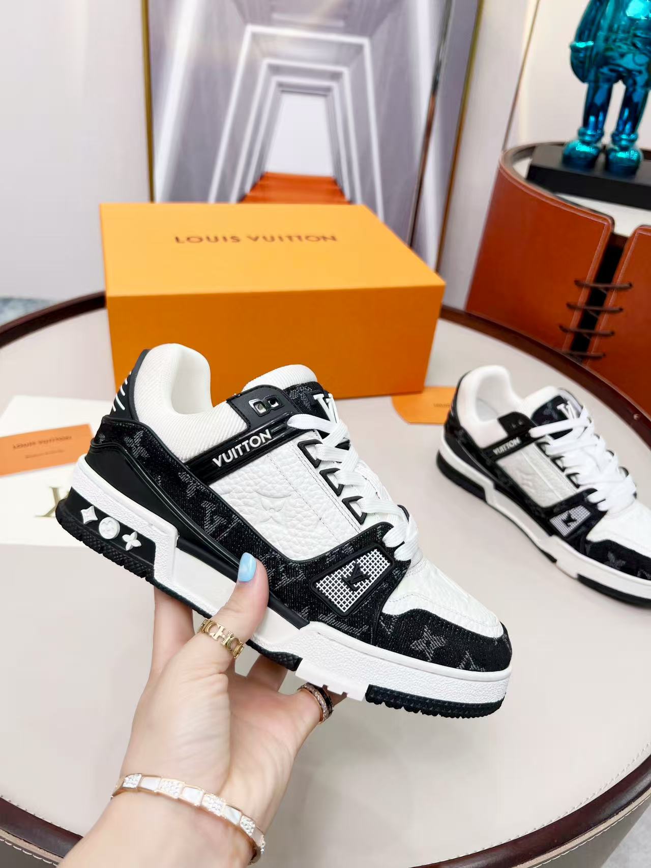 LV trainer black and white