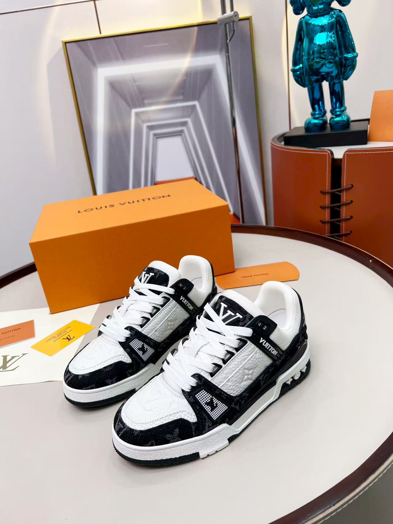 LV trainer black and white