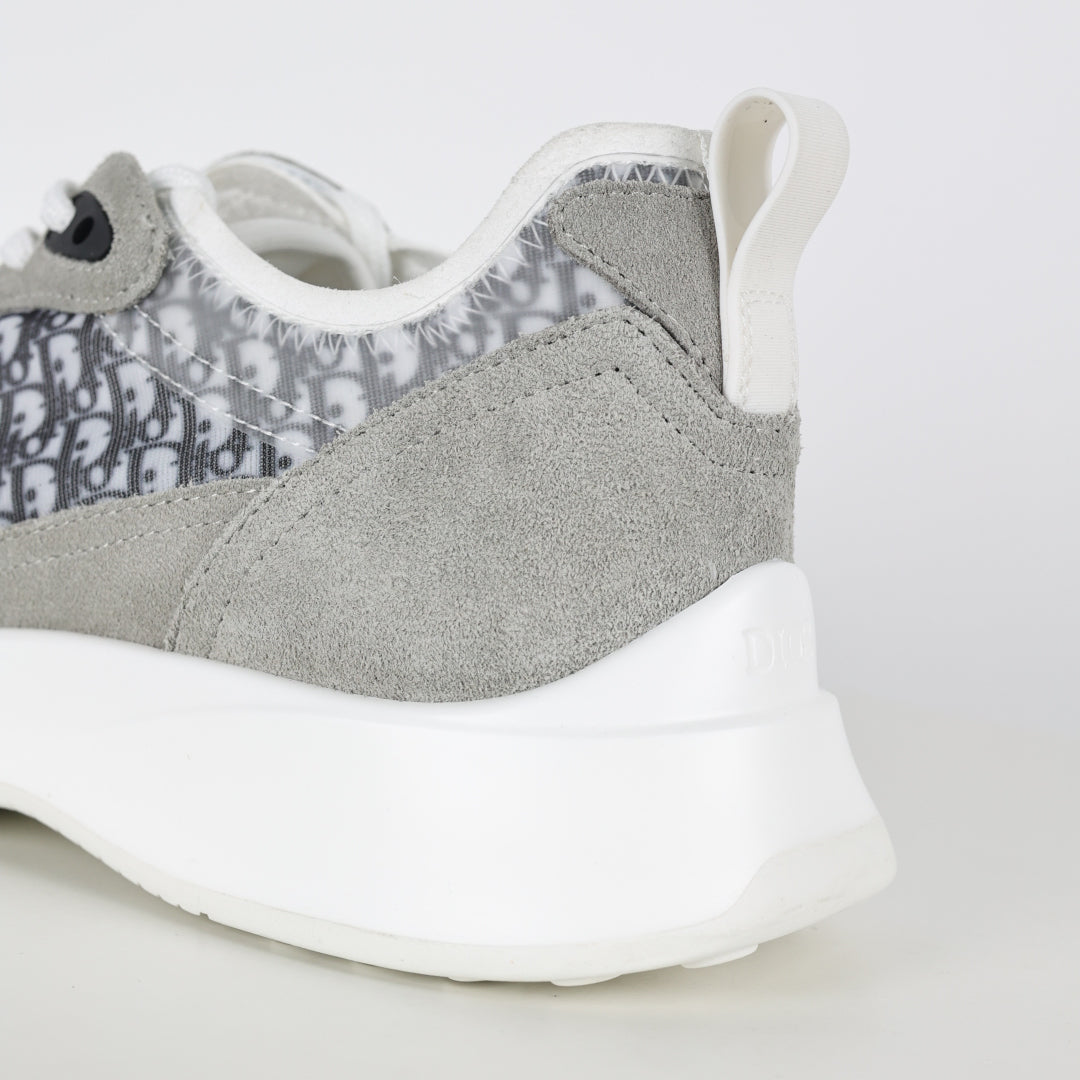 DIOR B25 Gray (suede)