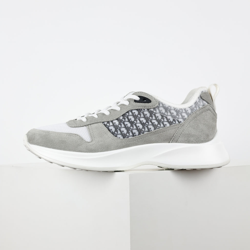 DIOR B25 Gray (suede)