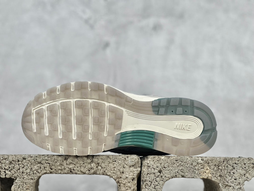 Nike P6000 Light Bone